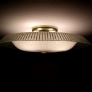 ceiling fixture.jpg
